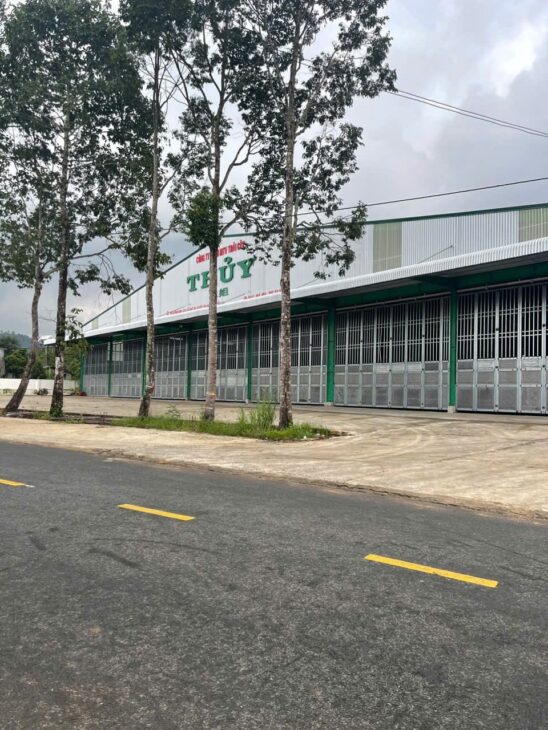 GIÁ TỐT – CHÍNH CHỦ Cần Bán Nhanh Căn Nhà Mặt Tiền 15m QL 600A Huyện Tân Phú, Tỉnh Đồng Nai