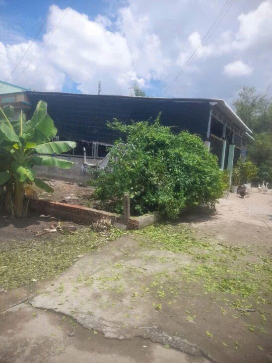 CHÍNH CHỦ CẦN BÁN LÔ ĐẤT THỔ CƯ GIÁ TỐT Vị Trí Tại Thị Trấn Cần Giuộc, Tỉnh Long An