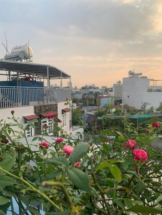 Nhà đẹp – giá tốt Chính Chủ Cần bán nhanh Nhà view đẹp tại quận Gò Vấp, TPHCM