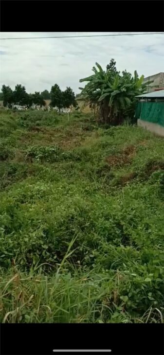 ĐẤT CHÍNH CHỦ – MẶT TIỀN – Ấp 1 Xã Thuỷ Tây, Huyện Thạnh Hoá, Tỉnh Long An