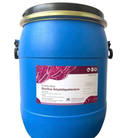 Men vi sinh Bacillus Amyloliquefaciens, hỗ trợ đường ruột tôm cá, xử lý môi trường nước