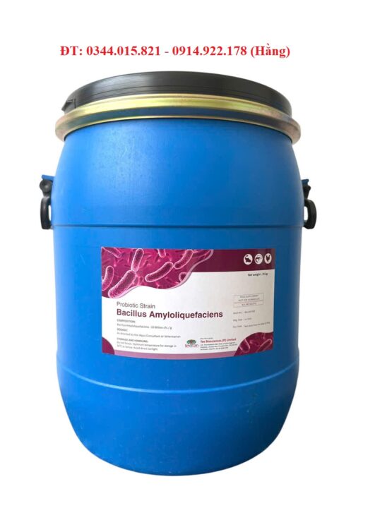 Bacillus Amyloliquefaciens, thức ăn bổ sung đường ruột tôm cá, xử lý môi trường nước
