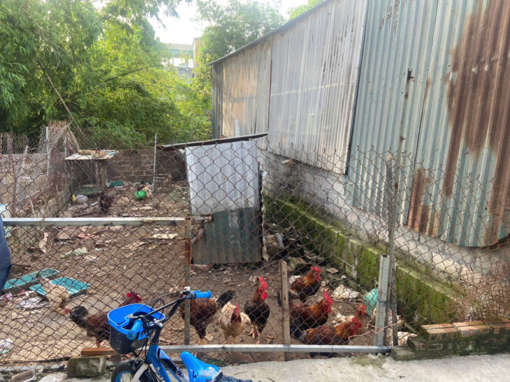Đông Yên – Quốc Oai dựa trên thông tin bạn cung cấp:
