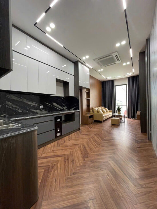 Nhà Vip 6 Tầng Thang Máy Gara Ô Tô Tại Ngõ 560 Nguyễn Văn Cừ, Long Biên