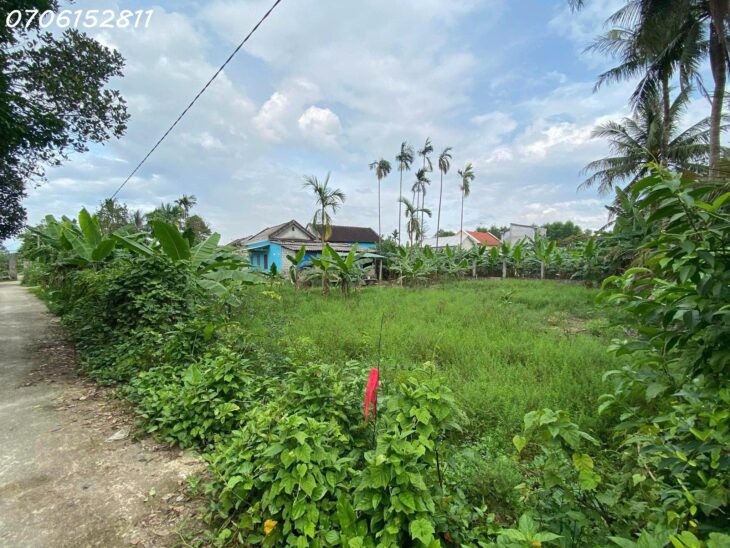 Cần bán lô đất giá rẻ gần sông hồ, thoáng mát Lộc Bổn, Phú Lộc, Thừa Thiên Huế, chỉ 670tr