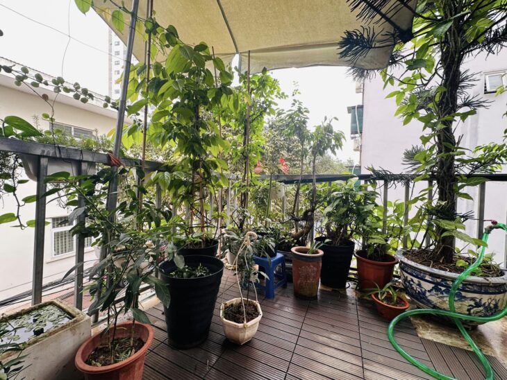 Nhà đẹp Phố Viên – 36m² x 5T – Gần ô tô – 7.8 tỷ