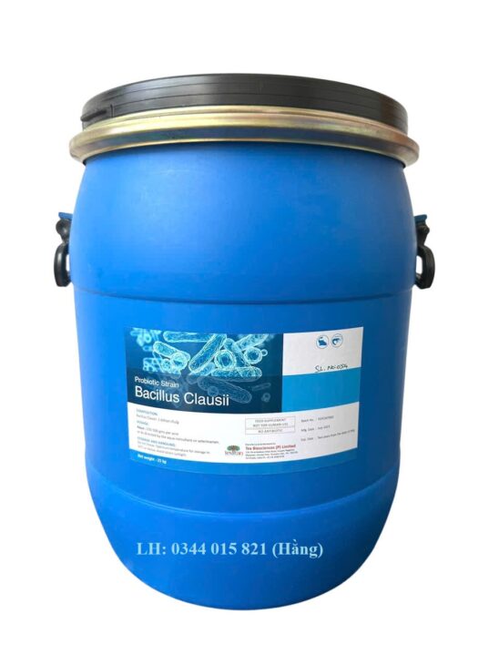 Men vi sinh Bacillus Clausii, cân bằng đường ruột cho tôm cá