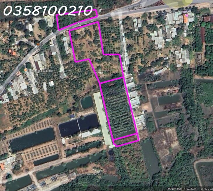 Bán đất mặt tiền đường Duyên Hải, xã Cần Giờ,TpHCM, DT 3 miếng đất 17.428,2 m2, Giá đầu tư
