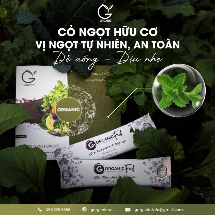 Bột rau củ G.Organic hỗ trợ cung cấp chất xơ