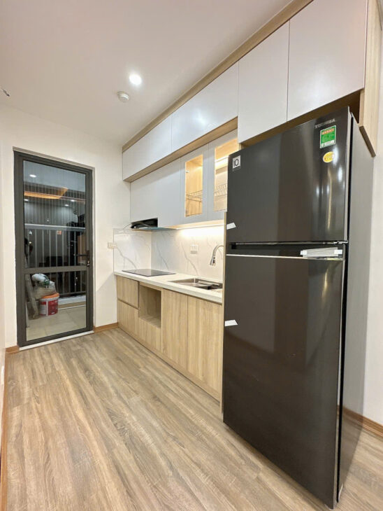 Bán căn hộ chung cư Rice City Linh Đàm 58m2, sổ đỏ, full nội thất mới, 4.2x tỷ