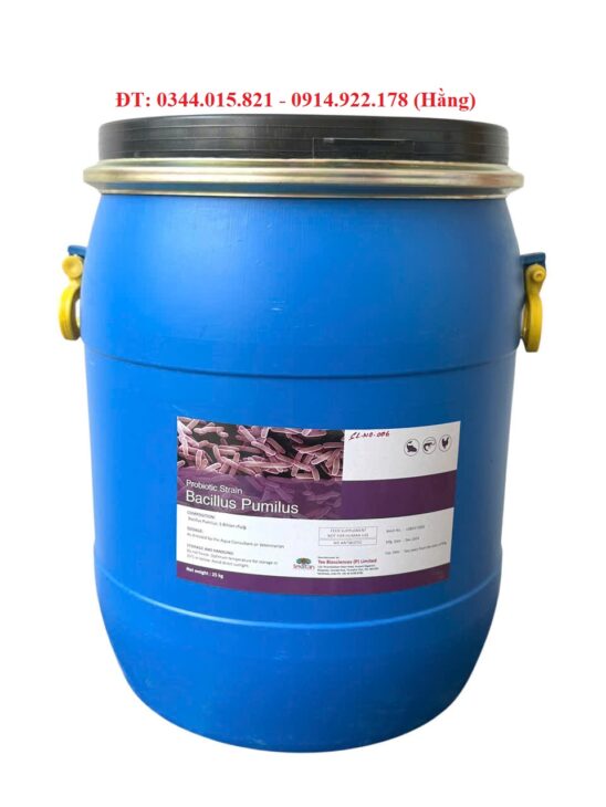 Bacillus Pumilus, thức ăn bổ sung, hỗ trợ đường ruột cho tôm cá