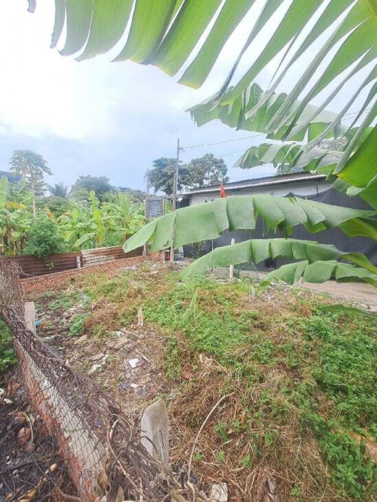 Đất 2 MH 137m2, tách thửa OK – An Phú Đông 9 Q12