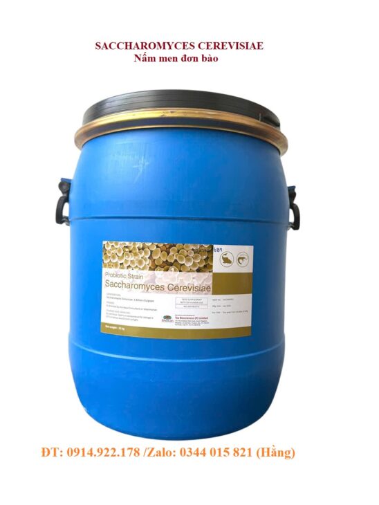 Nấm men đơn bào Sachharomyces Cerevisiae, giúp tôm cá tăng trưởng, bổ sung thức ăn chăn nuôi