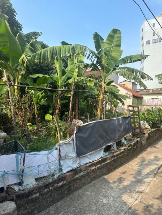 🔥 ĐẤT RỘNG 191M² – MẶT TIỀN QUYỀN LỰC – CỰC KỲ PHÙ HỢP CHIA LÔ ĐẦU TƯ 🔥GIÁ 16 TỶ