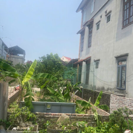 Bán Đất Phúc Thọ Mai Lâm-Đông Anh- 210m -Oto tránh – 13,1 tỷ (thương lượng) Bán Đất Phúc Thọ Mai Lâm-Đông Anh- 210m -Oto tránh – 13,1 tỷ (thương lượng)
