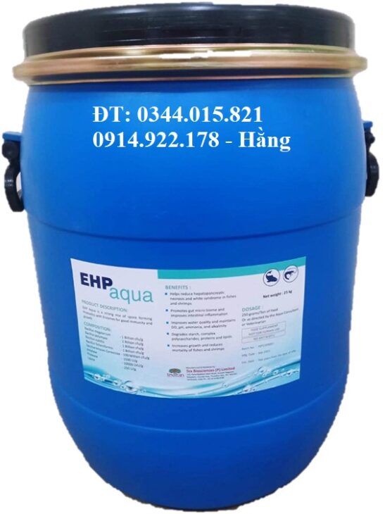 Men vi sinh EHP Aqua, xử lý nước, cho ăn, phòng ngừa EHP, cải thiện hệ tiêu hóa
