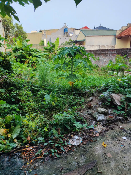 🔥🔥🔥LÔ ĐẤT KHÁNH VÂN-(NHỈNH 5 TỶ)- VUÔNG ĐẸP – NGÕ NÔNG – #THÔNG SỐ ĐẸP – CHỪNG 20M Ô TÔ