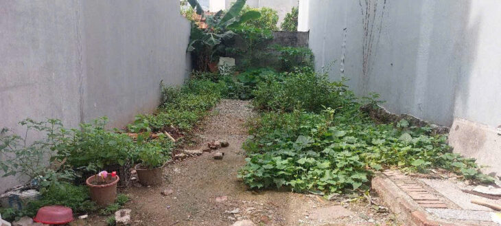 💥💥💥THỬA ĐẤT ĐẸP – AN SINH SƯỚNG ,NGÕ THÔNG💥💥💥-NHỈNH 5 TỶ