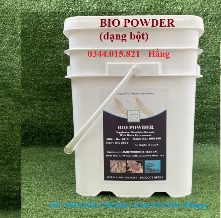 Men vi sinh dạng bột, Bio Powder, xử lý nước và đáy