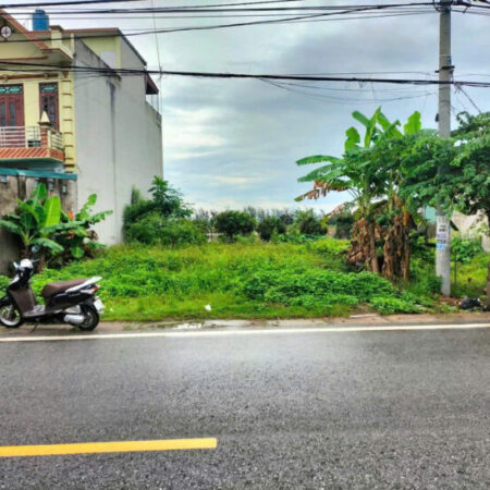 CẦN BÁN ĐẤT MẶT ĐƯỜNG QUỐC LỘ SẦM UẤT TẠI VŨ THƯ – 310M2 MẶT TIỀN 15M HIẾM CÓ