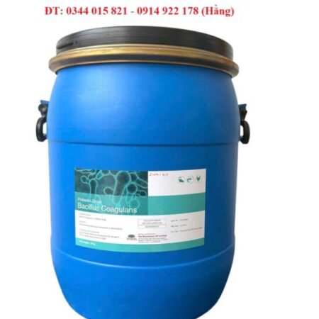 Lợi khuẩn Bacillus Coagulans, bổ sung hệ vi sinh vật đường ruột cho tôm cá Lợi khuẩn Bacillus Coagulans, bổ sung hệ vi sinh vật đường ruột cho tôm cá