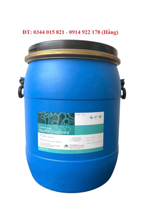 Lợi khuẩn Bacillus Coagulans, bổ sung hệ vi sinh vật đường ruột cho tôm cá