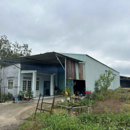 BÁN GẤP! SIÊU PHẨM 4.420,8M² (559m² TC + XƯỞNG), MT 10M NHỰA, Chỉ 5.3 Tỷ, XÃ Tân Bình, TÂY NINH.