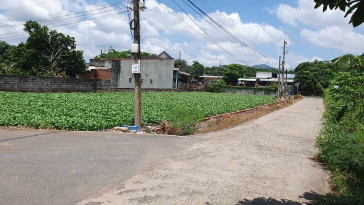 💥BÁN ĐẤT 3 MẶT TIỀN – ĐƯỜNG BÀU PHƯỢNG, XÃ CHÂU PHA, PHÚ MỸ, BÀ RỊA VŨNG TÀU – LH: 0933.120.568