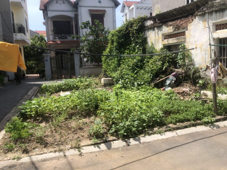 ✨ ĐÓN ĐẦU ĐẠI DỰ ÁN VINSAFARI (ĐA TỐN) – CÓ 1 KHÔNG 2 ✨ Diện tích 50m² Giá 3,9 tỷ – Tầm tiền