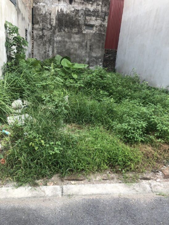 📣📣 ĐẤT VIP ĐA TỐN – GIA LÂM – VUÔNG A4 – NGÕ THÔNG. Ô TÔ NGỦ TRONG NHÀ – Ở SƯỚNG 🏠68,6m2 NHỈNH