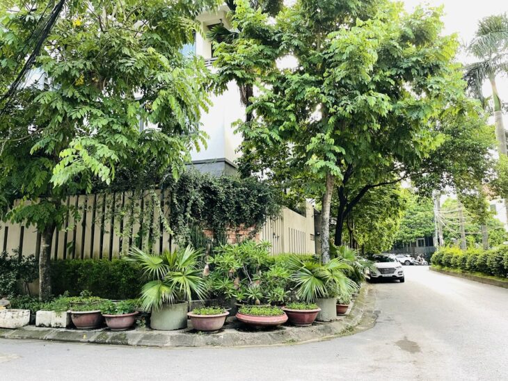 BIỆT THỰ SONG LẬP – ÁNH NẮNG RỰC RỠ – GÓC NÀO CŨNG CHILL!