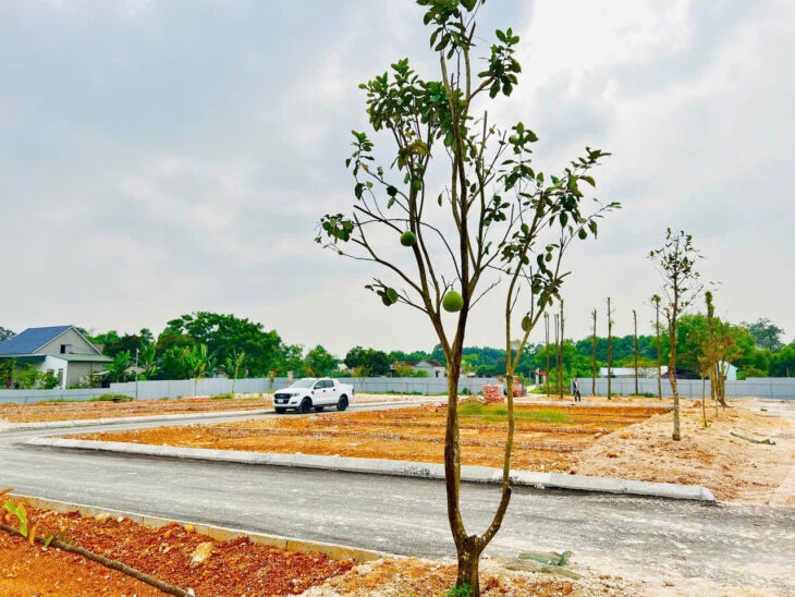 Đất Nền Thị Trấn Ngọc Lặc – Sẵn Sổ – Giá Chỉ Từ 150Tr/Lô