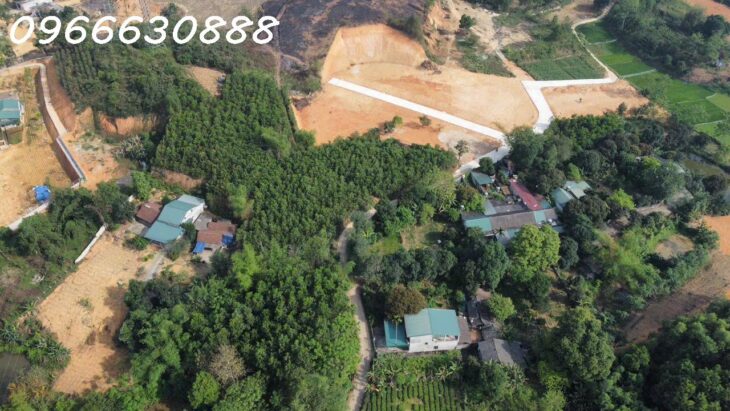 Đất dân mặt tiền 10m – diện tích 220m² – Minh Phong – cách đường Quang Trung kéo dài chỉ 450m!