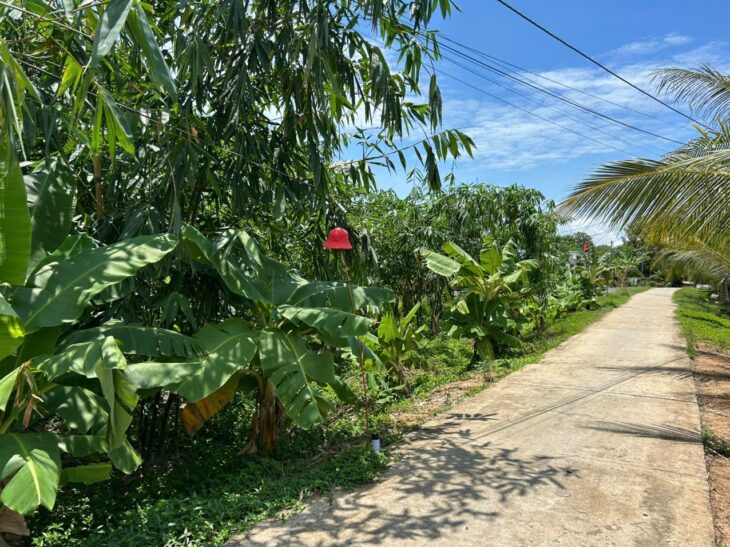 Bán đất thổ 462m2, sát QL.62, view kênh, SHR, đường ô tô, Xã Thuỷ Tây Thạnh Hóa, Long An