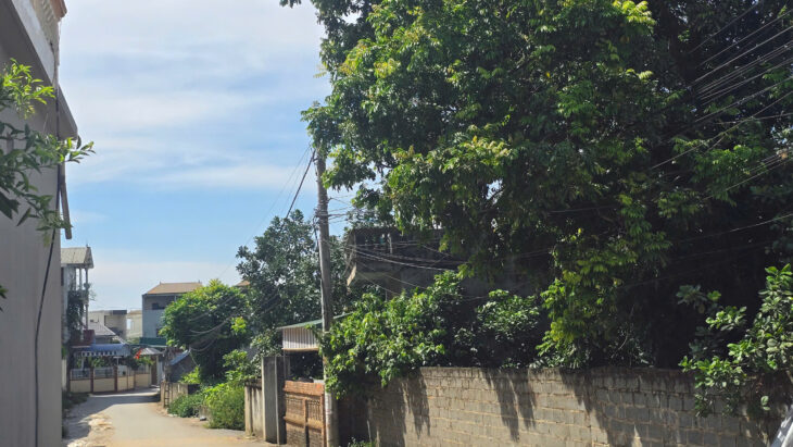 Thanh lý đất thôn Đội 4 thôn Đông Hạ, xã Đông Yên, Quốc Oai, Hà Nội, 488m2, MT 21.4m, miễn TG