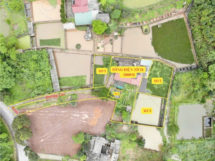 ĐẤT ĐẸP – GIÁ RẺ – Chính Chủ Bán Nhanh Lô Đất 2000m2 Tại Văn Chấn, Yên Bái