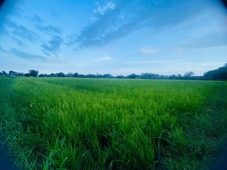 Chỉ 550 triệu sở hữu 1100m2 đất Phước Hội – LaGi giá ngộp gần KDC