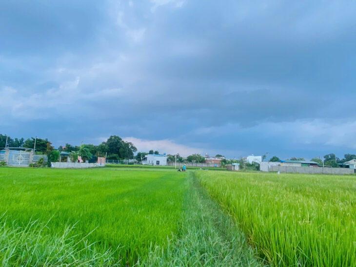 Chỉ 550 triệu sở hữu 1100m2 đất Phước Hội – LaGi giá ngộp gần KDC