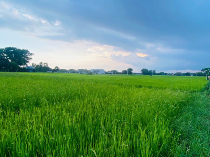 Chỉ 550 triệu sở hữu 1100m2 đất Phước Hội – LaGi giá ngộp gần KDC