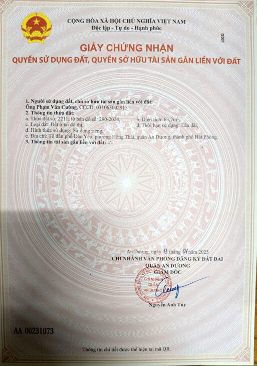 BÁN ĐẤT MẶT ĐƯỜNG KINH DOANH – ĐÀO YÊU, HỒNG THÁI, AN DƯƠNG