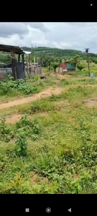 ĐẤT SIÊU ĐẸP – GIÁ ĐẦU TƯ- CHÍNH CHỦ Cần Bán Lô Đất Tại xã Ia Le, Chư Pưh, Gia Lai