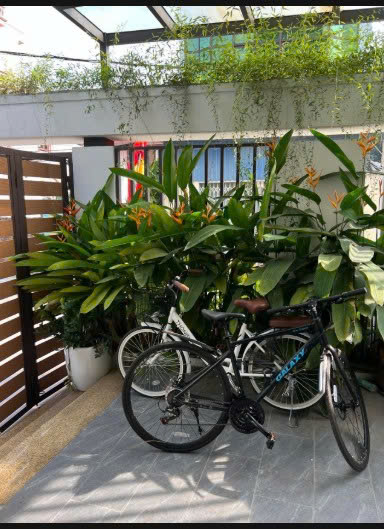 CHÍNH CHỦ CHO THUÊ NHÀ RIÊNG TẠI ĐƯỜNG CỔ DƯƠNG, ĐÔNG ANH, HÀ NỘI ( MIỄN TIẾP TRUNG GIAN HAY HỎI