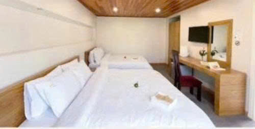 CHO THUÊ HOMESTAY ĐƯỜNG PHÙ ĐỔNG THÊN VƯƠNG , PHƯỜNG LÂM VIÊN ĐÀ LẠT