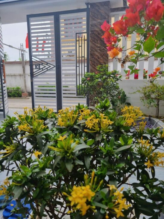 Chính Chủ Cần Bán Căn Biệt Thự 3 Tầng Mới Xây Tại Phường Bắc Hồng, Thị Xã Hồng lĩnh, Tỉnh Hà Tĩnh.