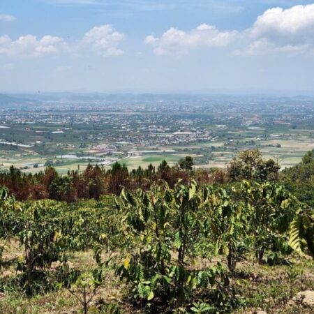 HOT HOT – CẦN BÁN LÔ ĐẤT VỊ TRÍ ĐẸP TẠI Xã Hiệp Thạnh, LÂM ĐỒNG