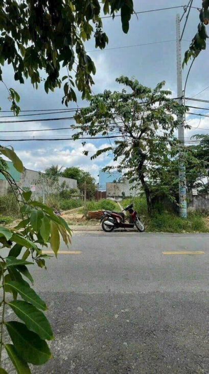 ĐẤT MẶT TIỀN ẤP CHÁNH 16 – HÓC MÔN DTXD 13x30M – KHU DÂN CƯ HIỆN HỮU ĐẤT MẶT TIỀN ẤP CHÁNH 16 – HÓC MÔN DTXD 13x30M – KHU DÂN CƯ HIỆN HỮU