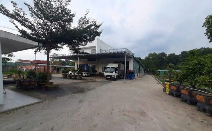 BÁN ĐẤT MẶT TIỀN ĐƯỜNG THANH NIÊN – BÀ ĐIỂM, HÓC MÔN – NGANG KHỦNG 61M