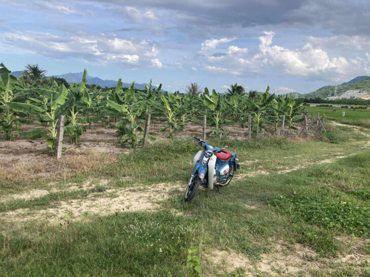 LÔ ĐẤT NHÀ VƯỜN, RESORT, FARM…XÃ BÌNH LỘC, DIÊN KHÁNH.