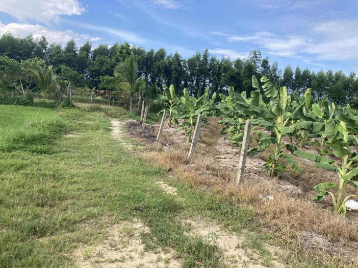 LÔ ĐẤT NHÀ VƯỜN, RESORT, FARM…XÃ BÌNH LỘC, DIÊN KHÁNH.
