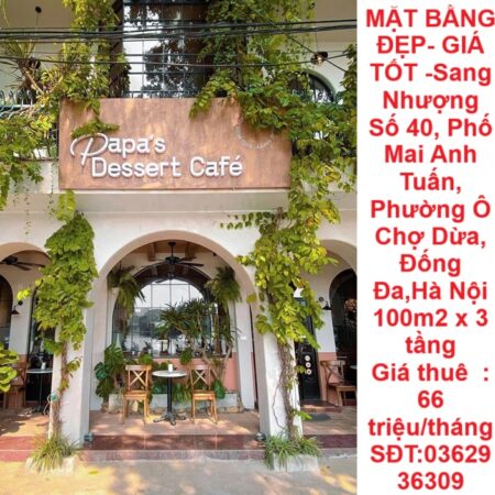 MẶT BẰNG ĐẸP- GIÁ TỐT -Sang Nhượng Số 40, Phố Mai Anh Tuấn, Phường Ô Chợ Dừa, Đống Đa,Hà Nội